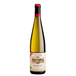 Becker  Muscat  2020 Blc...