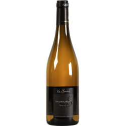 Photographie d'une bouteille de vin blanc Guy Saget Sauvignon 2021 Vdf Loire Blc 75cl Crd
