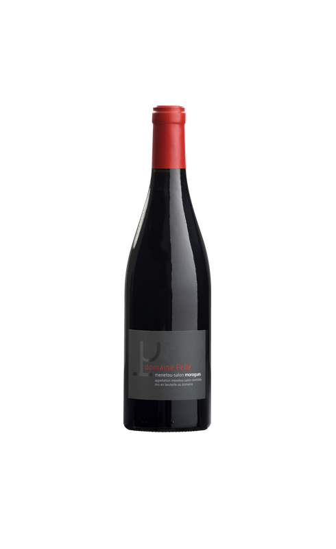 Photographie d'une bouteille de vin rouge Pelle Morogues 2022 Menetou Salon Rge 75cl Crd