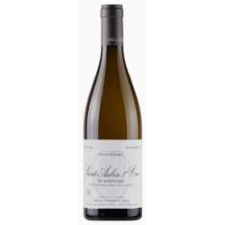 Photographie d'une bouteille de vin blanc Colin En Montceau 2021 St-Aubin Blc 75cl Crd