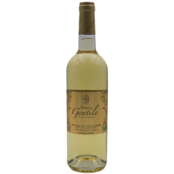 Photographie d'une bouteille de vin blanc Gentile Muscat Du Cap Corse 2022 Blc 75cl Crd