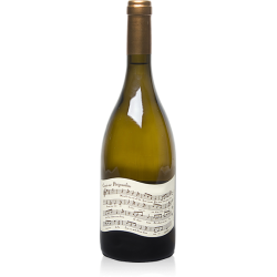 Photographie d'une bouteille de vin blanc Albert De Conti Conti-Ne 2021 Blc Sec Bio 75cl Crd