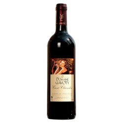 Photographie d'une bouteille de vin rouge Gavoty Clarendon 2020 Provence Rge 75cl Crd