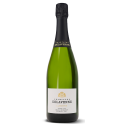 Photographie d'une bouteille de Delavenne Lumiere Bl De Blancs Gc Champagne Blc 75cl Crd