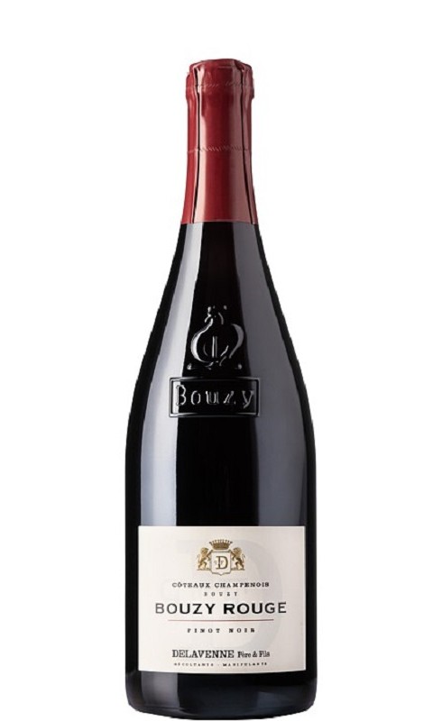 Photographie d'une bouteille de Delavenne Bouzy 2019 Coteaux Champ Rge 75cl Crd