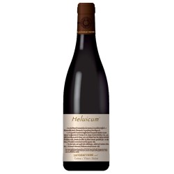 Photographie d'une bouteille de vin rouge Vins De Vienne Heluicum 2021 Igp Col Rho Rge 1 5 L Crd