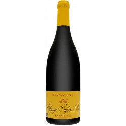 Photographie d'une bouteille de vin rouge Bouchard Les Novices 2022 Faugeres Rge Bio 75cl Crd