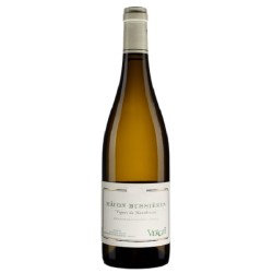 Photographie d'une bouteille de vin blanc Verget Vignes De Montbrison 2021 Macon Buss Blc 75cl Crd
