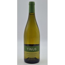 Photographie d'une bouteille de vin blanc Guffens Tinus Marsanne Roussanne 2021 Vdf Blc 75cl Crd