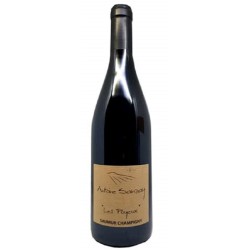 Photographie d'une bouteille de vin rouge Sanzay Les Poyeux 2020 Saumur Rge Bio 75cl Crd