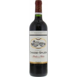 Photographie d'une bouteille de vin rouge Cht Chasse-Spleen Cb12 2021 Moulis Rge 75cl Crd