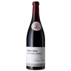 Photographie d'une bouteille de vin rouge Latour Pierres Dorees 2020 Coteaux Bgnons Rge 75cl Crd