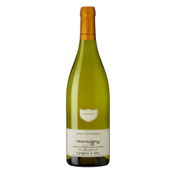 Photographie d'une bouteille de vin blanc Buxy Montagny Village Buissonnier 2021 Blc 75cl Crd