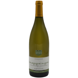 Photographie d'une bouteille de vin blanc Buxy Bourgogne Aligote Buissonnier 2022 Blc 75cl Crd