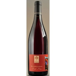Photographie d'une bouteille de vin rouge Pommier Grain De Survie Pinot Noir 2022 Bgne Rge 75cl Crd