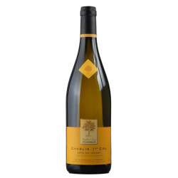 Photographie d'une bouteille de vin blanc Pommier Cote De Lechet 2019 Chablis 1c Blc Bio 1 5l Crd