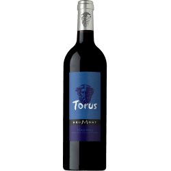 Photographie d'une bouteille de vin rouge Brumont Torus 2017 Cb1 Madiran Rge 1 5 L Crd