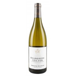 Photographie d'une bouteille de vin blanc Michelot Bourgogne Cote D Or 2020 Bgne Blc 75cl Crd