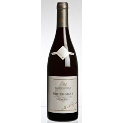 Photographie d'une bouteille de vin rouge Michelot Bourgogne Cote D Or 2019 Bgne Rge 75cl Crd