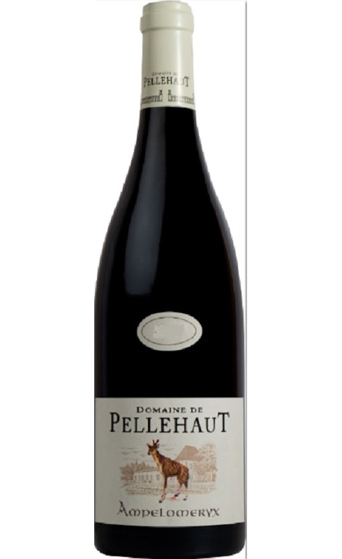 Photographie d'une bouteille de vin rouge Pellehaut Ampelomeryx 2022 Igp Cdgascon Rge 75cl Crd