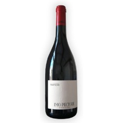 Photographie d'une bouteille de vin rouge Solpayre Cuvee Imo Pectore 2020 Cdroussi Rge 75cl Crd