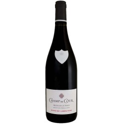 Photographie d'une bouteille de vin rouge Labruyere Champ De Cour 2020 Mav Rge 75cl Crd