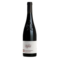 Photographie d'une bouteille de vin rouge Villeneuve Vv 2021 Saumur Champ Rge Bio 75cl Crd