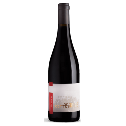 Photographie d'une bouteille de vin rouge Gaillard Les Moulins 2020 Faugeres Rge 75cl Crd