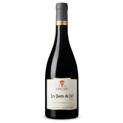 Photographie d'une bouteille de vin rouge Tain Les Hauts Du Fief 2019 Crozes Rge 75cl Crd