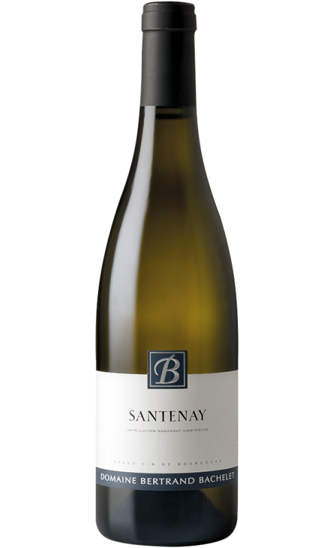 Photographie d'une bouteille de vin blanc Bachelet Santenay 2021 Blc 75cl Crd