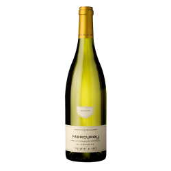 Photographie d'une bouteille de vin blanc Buxy Mercurey Village Buissonnier 2021 Blc 75cl Crd