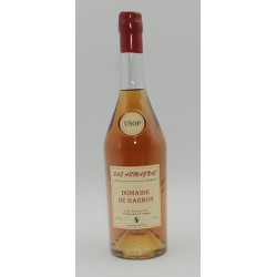 Photographie d'une bouteille de Barbon - Bas-Armagnac Vsop 10ans 70cl