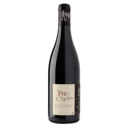 Photographie d'une bouteille de vin rouge Germain Terres Chaudes 2016 Saum Champ Rge 75cl Crd