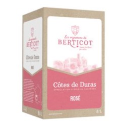 Photographie d'une bouteille de vin rosé Berticot Vignerons De Berticot Cdduras Rose Bib 5 L Crd