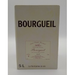 Photographie d'une bouteille de vin rosé Delisle Boucard Bourgueil Rose Bib 5 L Crd