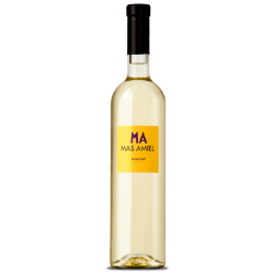 Photographie d'une bouteille de vin blanc Mas Amiel Muscat De Rivesaltes 2014 Blc 75cl Crd