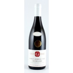 Photographie d'une bouteille de vin rouge Gavignet Les Pruliers 2017 Nuits St Geo Rge 75cl Crd