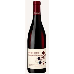 Photographie d'une bouteille de vin rouge Marchand-Grillot Pasquier Des Chenes 2017 Rge 75cl Crd