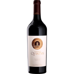 Photographie d'une bouteille de vin rouge Cht Quintus 2019 St-Emilion Gc Rge 75cl Crd