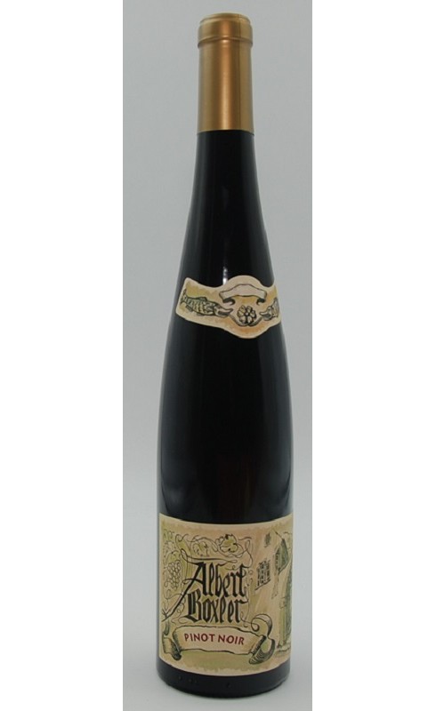 Photographie d'une bouteille de vin rouge Boxler Pinot Noir S Sommerberg 2018 Rge 75cl Crd