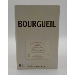 Photographie d'une bouteille de vin rouge Delisle Boucard Bourgueil Rge Bib 5 L Crd