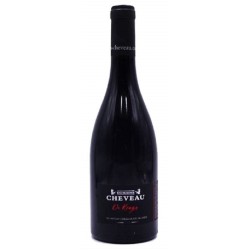 Photographie d'une bouteille de vin rouge Cheveau Or Rouge-En Chatenay 2018 Beaujolais Rge 75cl Crd