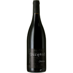 Photographie d'une bouteille de vin rouge Burgaud James Cote Du Py 2018 Morgon Rge 1 5 L Crd