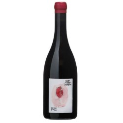 Photographie d'une bouteille de vin rouge Saget Les Ailes Pourpres 2011 Touraine Rge 75cl Crd