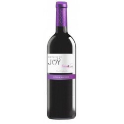 Photographie d'une bouteille de vin rouge Joy L Insolent 2018 Cdgascon Rge 75cl Crd
