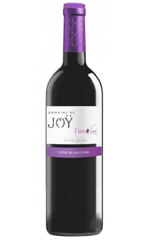 Photographie d'une bouteille de vin rouge Joy L Insolent 2018 Cdgascon Rge 75cl Crd