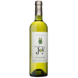 Photographie d'une bouteille de vin blanc Joy Naturellement Joy 2019 Cdgascon Blc Sec 75cl Crd