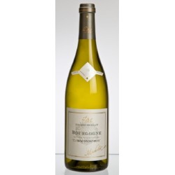 Photographie d'une bouteille de vin blanc Michelot Clos De Montmeix 2019 Bgne Blc 75cl Crd