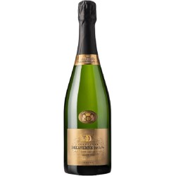 Photographie d'une bouteille de Delavenne Brut Millesime 2015 Gc Champagne Blc 75cl Crd