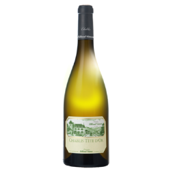 Photographie d'une bouteille de vin blanc Billaud Tete D Or 2018 Chablis Blc 1 5 L Crd